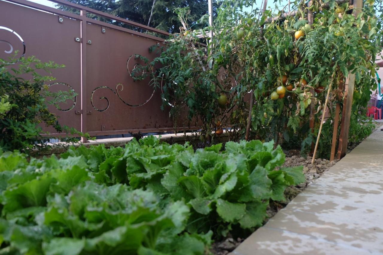 Villa Eden مونتيفالكو المظهر الخارجي الصورة